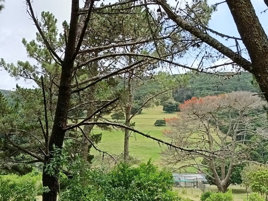 Commercial Property for Sale in Colleen Glen Eastern Cape